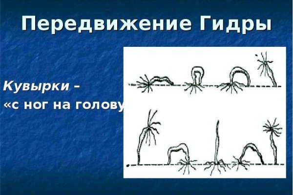 Даркнет ссылка
