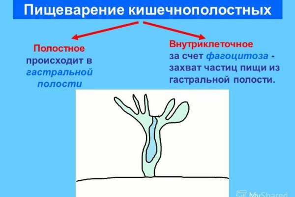 Какая сейчас ссылка на кракен