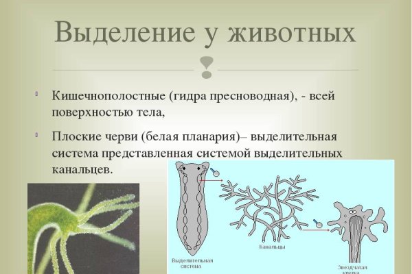 Кракен ссылка тор