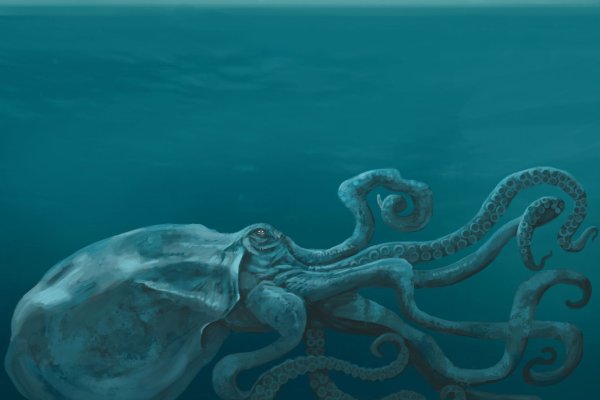 Kraken 11at