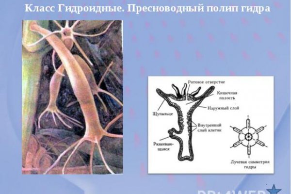 Сайт кракен зайти