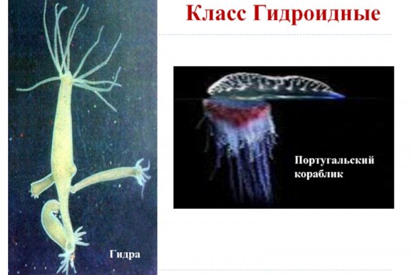 Кракен торговая площадка